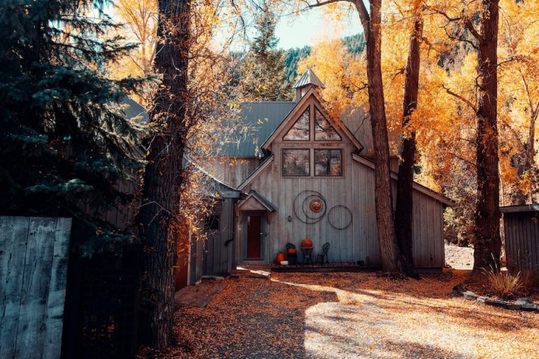 Placerville Riverfront Cabin